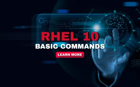 RHEL 10 Basic Commands Every Beginner Should Know