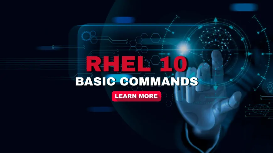 RHEL 10 Basic Commands Every Beginner Should Know