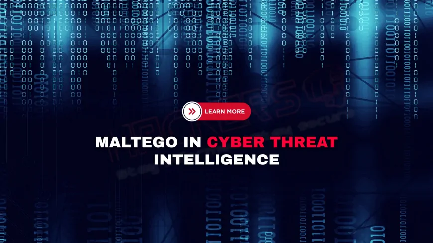 How Do Cybersecurity Professionals Use Maltego for Threat Intelligence?