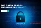 Top Onion Search Engines in 2025 | Best Platforms for Private Searching
