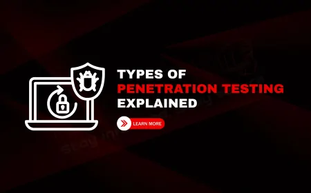 What Are the Different Types of Penetration Testing (Black Box, White Box, Gray Box)?