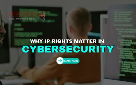 Why Are Intellectual Property Rights Important in Cybersecurity?