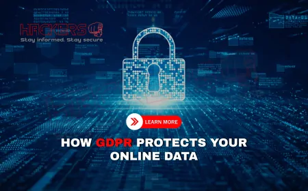 What Is GDPR and How Does It Protect Your Data in the EU?