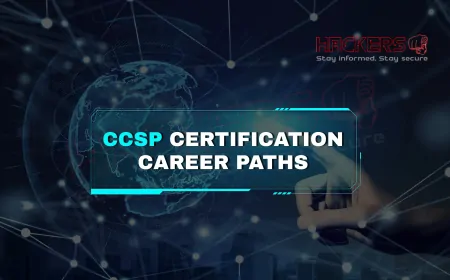Career Paths After Completing the CCSP Certification