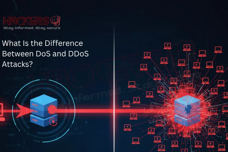 What Is the Difference Between DoS and DDoS Attacks? - Latest News on ...