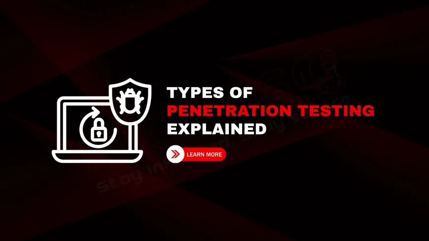 What Are the Different Types of Penetration Testing (Black Box, White Box, Gray Box)?