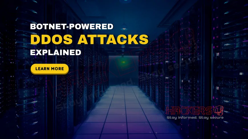 What Is a Distributed Denial of Service (DDoS) Attack Powered by Botnets?