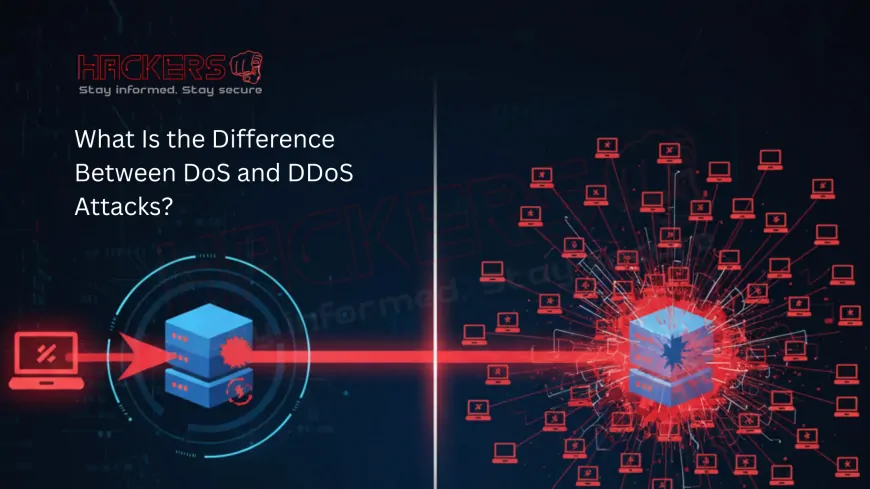 What Is the Difference Between DoS and DDoS Attacks?