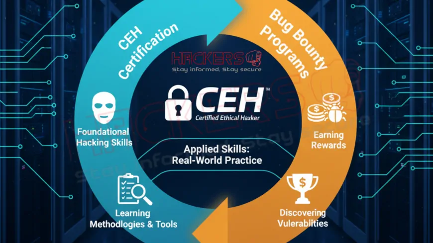 How Does CEH Certification Connect to Bug Bounty Programs?