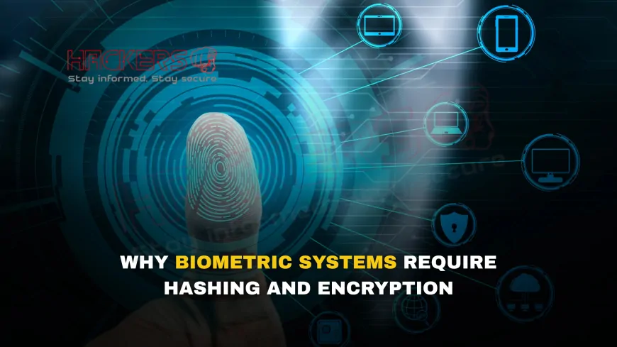 Why Do Biometric Systems Need Both Hashing and Encryption?