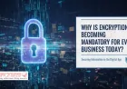 Why Is Encryption Becoming Mandatory for Every Business Today?